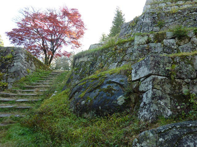 岩村城の石垣と苔